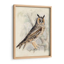 Búho De Orejas Largas Meyer - H.L. Meyer | Cuadro decorativo de Canvas Lab