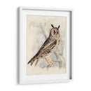 Búho De Orejas Largas Meyer - H.L. Meyer | Cuadro decorativo de Canvas Lab