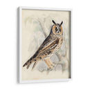 Búho De Orejas Largas Meyer - H.L. Meyer | Cuadro decorativo de Canvas Lab