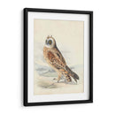 Meyer Hawk Owl - H.L. Meyer | Cuadro decorativo de Canvas Lab