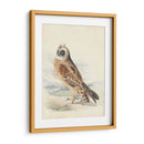 Meyer Hawk Owl - H.L. Meyer | Cuadro decorativo de Canvas Lab