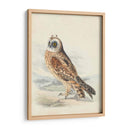 Meyer Hawk Owl - H.L. Meyer | Cuadro decorativo de Canvas Lab