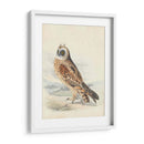 Meyer Hawk Owl - H.L. Meyer | Cuadro decorativo de Canvas Lab