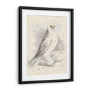 Meyer Búho Nevado - H.L. Meyer | Cuadro decorativo de Canvas Lab