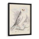 Meyer Búho Nevado - H.L. Meyer | Cuadro decorativo de Canvas Lab