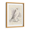 Meyer Búho Nevado - H.L. Meyer | Cuadro decorativo de Canvas Lab