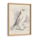 Meyer Búho Nevado - H.L. Meyer | Cuadro decorativo de Canvas Lab