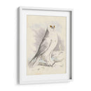 Meyer Búho Nevado - H.L. Meyer | Cuadro decorativo de Canvas Lab