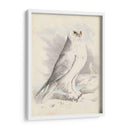 Meyer Búho Nevado - H.L. Meyer | Cuadro decorativo de Canvas Lab