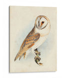 Meyer Granero Búho - H.L. Meyer | Cuadro decorativo de Canvas Lab