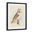 Meyer Granero Búho - H.L. Meyer | Cuadro decorativo de Canvas Lab