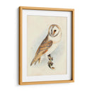 Meyer Granero Búho - H.L. Meyer | Cuadro decorativo de Canvas Lab