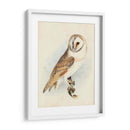 Meyer Granero Búho - H.L. Meyer | Cuadro decorativo de Canvas Lab