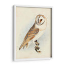 Meyer Granero Búho - H.L. Meyer | Cuadro decorativo de Canvas Lab