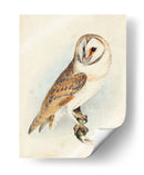 Meyer Granero Búho - H.L. Meyer | Cuadro decorativo de Canvas Lab