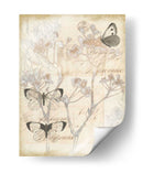 Puesta De Sol Lace I - Jennifer Goldberger | Cuadro decorativo de Canvas Lab