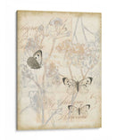 Puesta De Sol Lace Ii - Jennifer Goldberger | Cuadro decorativo de Canvas Lab