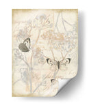 Puesta De Sol Lace Ii - Jennifer Goldberger | Cuadro decorativo de Canvas Lab