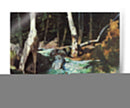 Retiro De Pesca Ii - Roy M. Mason | Cuadro decorativo de Canvas Lab