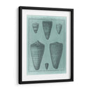 Colección De Shell Spa I - Vision Studio | Cuadro decorativo de Canvas Lab