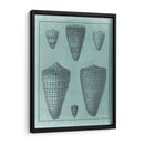 Colección De Shell Spa I - Vision Studio | Cuadro decorativo de Canvas Lab