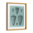 Colección De Shell Spa I - Vision Studio | Cuadro decorativo de Canvas Lab