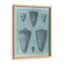 Colección De Shell Spa I - Vision Studio | Cuadro decorativo de Canvas Lab