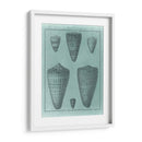 Colección De Shell Spa I - Vision Studio | Cuadro decorativo de Canvas Lab