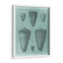 Colección De Shell Spa I - Vision Studio | Cuadro decorativo de Canvas Lab