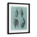 Spa Shell Collection Iii - Vision Studio | Cuadro decorativo de Canvas Lab