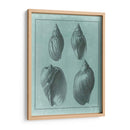 Spa Shell Collection Iii - Vision Studio | Cuadro decorativo de Canvas Lab