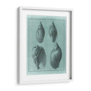 Spa Shell Collection Iii - Vision Studio | Cuadro decorativo de Canvas Lab