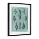 Spa Shell Collection Iv - Vision Studio | Cuadro decorativo de Canvas Lab