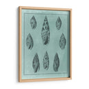 Spa Shell Collection Iv - Vision Studio | Cuadro decorativo de Canvas Lab