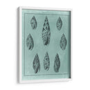 Spa Shell Collection Iv - Vision Studio | Cuadro decorativo de Canvas Lab