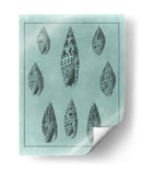 Spa Shell Collection Iv - Vision Studio | Cuadro decorativo de Canvas Lab
