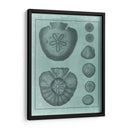 Colección Spa Shell Vi - Vision Studio | Cuadro decorativo de Canvas Lab