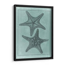 Colección De Shell Spa Vii - Vision Studio | Cuadro decorativo de Canvas Lab