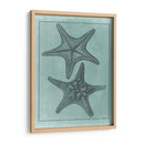 Colección De Shell Spa Vii - Vision Studio | Cuadro decorativo de Canvas Lab