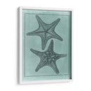 Colección De Shell Spa Vii - Vision Studio | Cuadro decorativo de Canvas Lab