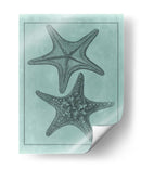 Colección De Shell Spa Vii - Vision Studio | Cuadro decorativo de Canvas Lab