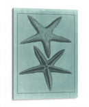 Colección Spa Shell Viii - Vision Studio | Cuadro decorativo de Canvas Lab