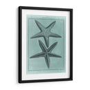 Colección Spa Shell Viii - Vision Studio | Cuadro decorativo de Canvas Lab