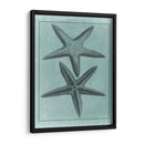 Colección Spa Shell Viii - Vision Studio | Cuadro decorativo de Canvas Lab