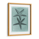 Colección Spa Shell Viii - Vision Studio | Cuadro decorativo de Canvas Lab