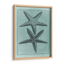 Colección Spa Shell Viii - Vision Studio | Cuadro decorativo de Canvas Lab