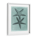Colección Spa Shell Viii - Vision Studio | Cuadro decorativo de Canvas Lab