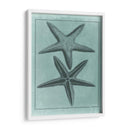 Colección Spa Shell Viii - Vision Studio | Cuadro decorativo de Canvas Lab
