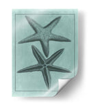 Colección Spa Shell Viii - Vision Studio | Cuadro decorativo de Canvas Lab