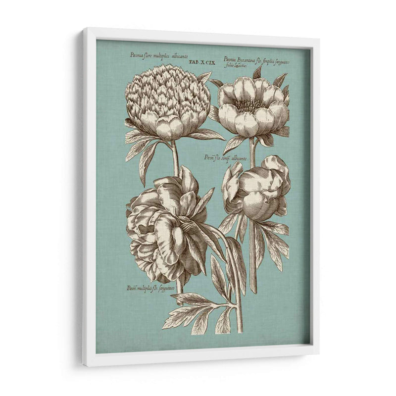 Chambray Chintz Ii - Vision Studio | Cuadro decorativo de Canvas Lab